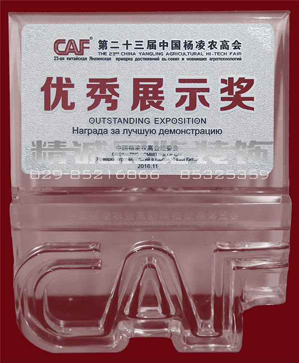 第23屆楊凌農(nóng)高會“優(yōu)秀展示獎”（獎牌）16年