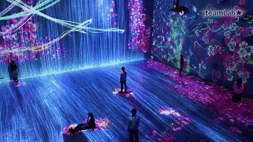 花與瀑布的沉浸式世界 花與瀑布的沉浸式世界